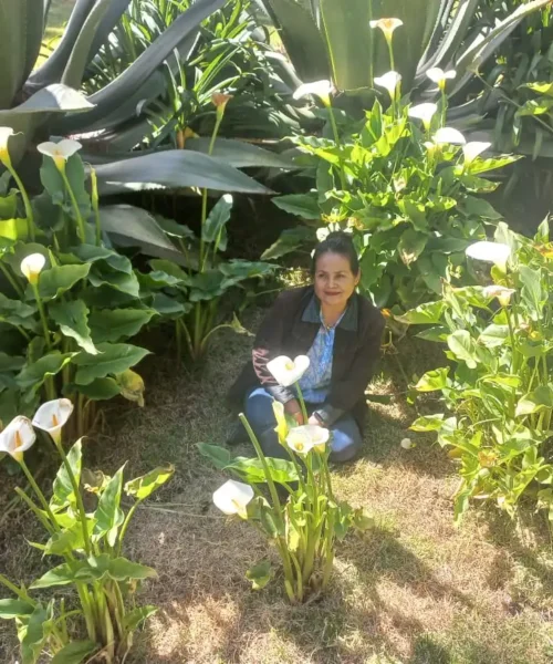 Alba Dolores Carrasquedo Zárate presenta MENO&ANDRO, una historia realista sobre las turbulencias emocionales y afectivas en la vida en pareja