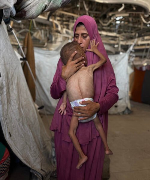 Trump: la prioridad número uno ahora en Gaza es alimentar a la gente