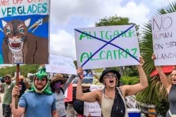 Hay 750 migrantes en jaulas en ‘Alligator Alcatraz’, denuncian legisladores