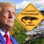‘Alligator Alcatraz’: La nueva prisión para migrantes que Trump construye rodeada de cocodrilos