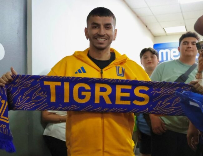 Brotan rayas, colmillos y garras a Ángel Correa | Video