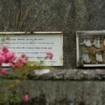 Escándalo en Iglesia irlandesa: Inician excavación de fosa común con casi 800 bebés