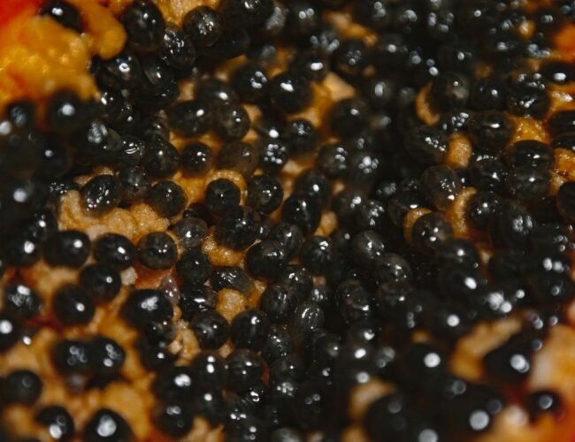 EU: Hallan más de 23 millones en metanfetamina en cargamento de papaya