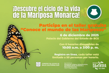 Invitan a taller gratuito “Conoce el mundo de las mariposas”