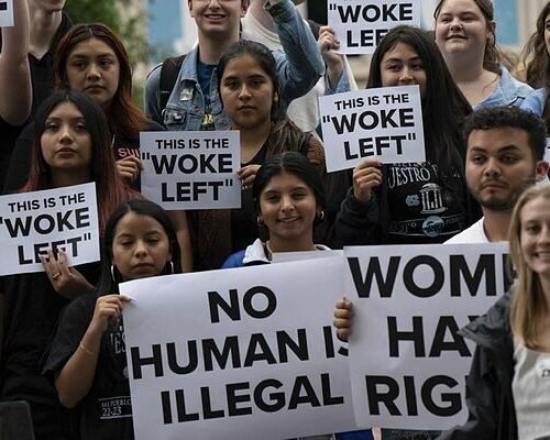 Lo woke, modo de empleo