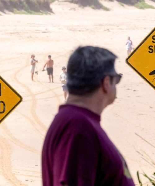 ¿Qué sucede en Sídney? Van 3 ataques de tiburón en poco más de 24 horas