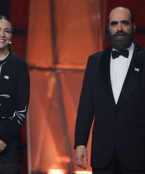 Distintos Goya, la misma turra