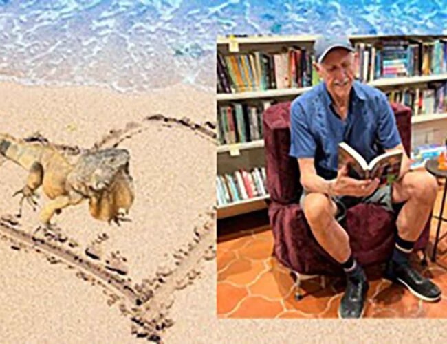 Vincent Traughber Meis presenta una intensa historia de identidad, amor y reinvención personal