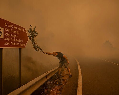 Tres fotógrafos españoles galardonados en los World Press Photo 2026 regionales