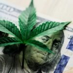 EE.UU. reclasifica la marihuana medicinal como una droga de menor riesgo