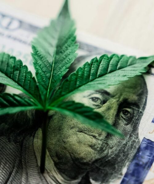 EE.UU. reclasifica la marihuana medicinal como una droga de menor riesgo