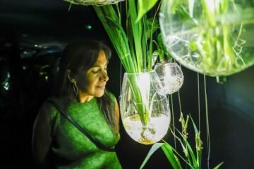 El IVAM baja al subsuelo: «Hay un universo desde antes de los humanos y que seguirá cuando nos extingamos»
