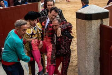 La capacidad de Álvaro Serrano y una grave cornada a Raúl Ruiz, entre un saldo ganadero en Las Ventas