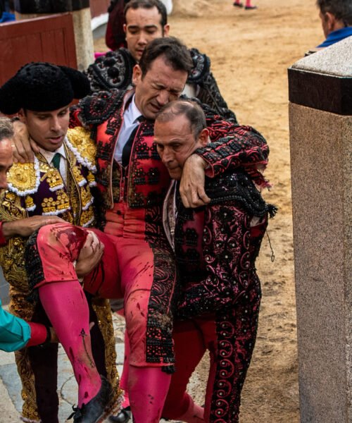 La capacidad de Álvaro Serrano y una grave cornada a Raúl Ruiz, entre un saldo ganadero en Las Ventas