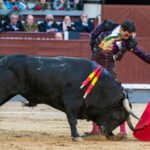 Fortes, tras su nueva revalorización en Madrid: «Cuando haces algo excepcional todo se pone a favor»