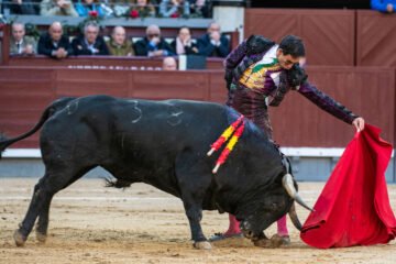 Fortes, tras su nueva revalorización en Madrid: «Cuando haces algo excepcional todo se pone a favor»