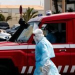 Hantavirus: qué es, síntomas y cómo se transmite