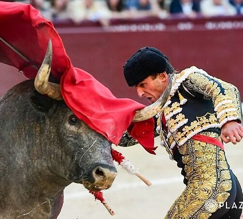 La crudísima guerra de Damián Castaño con un temible toro de Escolar en Las Ventas