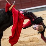 Importante tarde y grave lesión de Clemente ante la dura corrida B de Juan Pedro Domecq en Las Ventas