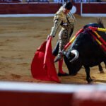 Toros gratis para menores: Badajoz crea un «palco infantil» con monitores para atraer a niños de 5 a 12 años