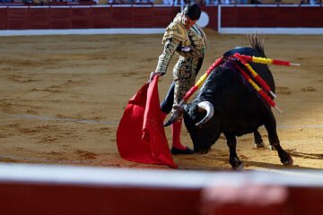 Toros gratis para menores: Badajoz crea un «palco infantil» con monitores para atraer a niños de 5 a 12 años