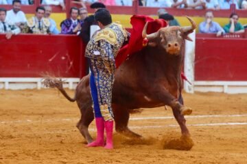 Un Morante de ensueño y cabreado con la doble vara de medir de Alicante: Talavante, a hombros con una gran corrida de Santi Domecq