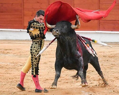 Torería de Urdiales en el rotundo triunfo de Fernando Adrián en Segovia
