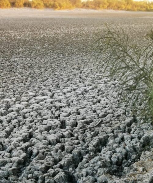 Invitan a aportar propuestas para enfrentar el cambio climático en Baja California Sur