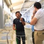 Entrega UABCS más de 15 millones de semillas de ostión a productores locales