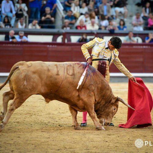 El mexicano Emiliano Osornio, ante su debut en Pamplona: «Es hermoso ver a tanta juventud disfrutando del regalo cultural que es la tauromaquia»