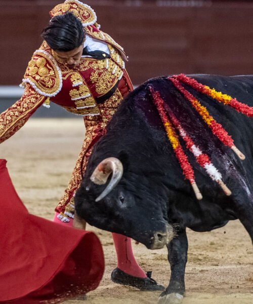 Novillada con posibilidades de López Gibaja en la noche de Las Ventas