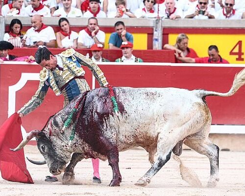 Guapa, hechurada y buena corrida de Cebada; positivas noticias de David Galván y Diosleguarde en Pamplona