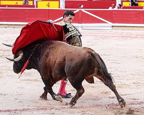 La mala suerte de una corrida muy movida de La Palmosilla en Pamplona