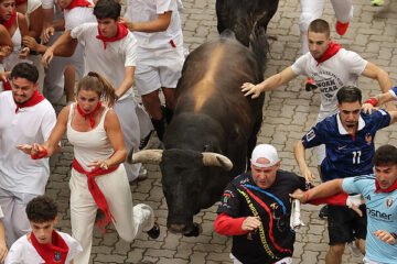 Séptimo encierro de San Fermín: los miuras compiten por la cabeza de manada