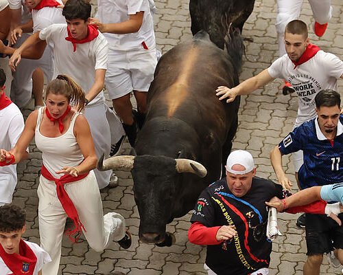 Séptimo encierro de San Fermín: los miuras compiten por la cabeza de manada