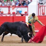 Morante de la Puebla y Roca Rey, premiados ex aequo como triunfadores de Santander