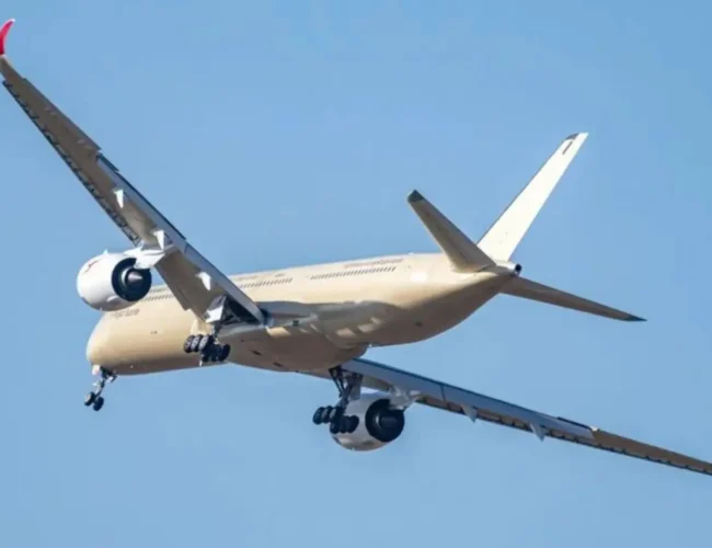 De Francia a Australia en 24 horas: así ha sido el primer vuelo del nuevo avión de Airbus sin escalas