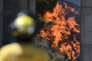 España combate incendio histórico en plena ola de calor