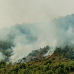 España contiene varios focos de los incendios tras 77,000 hectáreas quemadas