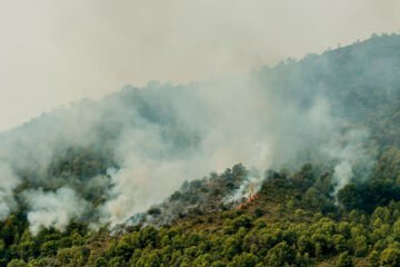 España contiene varios focos de los incendios tras 77,000 hectáreas quemadas