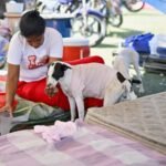 ‘No quiero morir en un refugio’, la incertidumbre de afectados por los terremotos de Venezuela