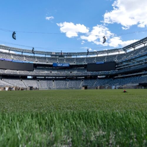 ¿Quieres un recuerdo de la final del Mundial? FIFA pone a la venta el césped
