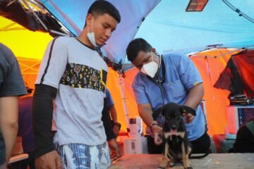 Refugios de animales, desbordados tras los devastadores terremotos en Venezuela