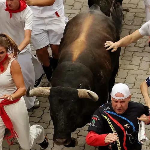Séptimo encierro de San Fermín con toros de Miura: limpio, veloz y con un toro rezagado