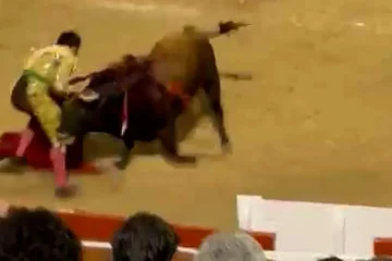 Morante de la Puebla sufre una cogida con su quinto toro en Palma de Mallorca