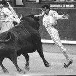 Morenito de Maracay: «Jamás sufrí racismo en las plazas de toros de España»