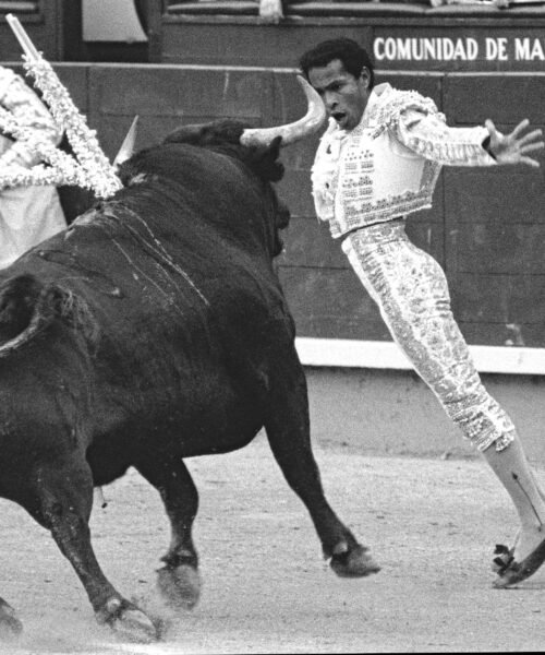 Morenito de Maracay: «Jamás sufrí racismo en las plazas de toros de España»