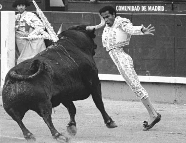 Morenito de Maracay: «Jamás sufrí racismo en las plazas de toros de España»