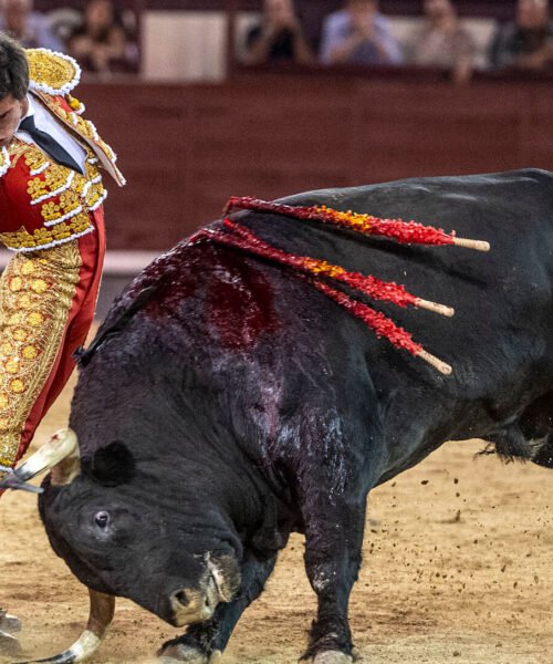 La terna pone voluntad ante una corrida de variadas complicaciones en Las Ventas