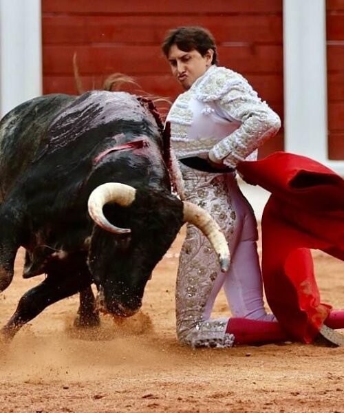 La raza de Roca Rey arrolla en Gijón